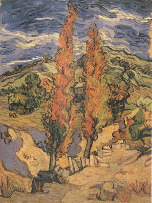 Vincent Van Gogh Two Poplars on a Road through the Hills (nn04) Spain oil painting art